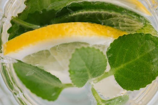 refreshing flavored water with lemon and mint