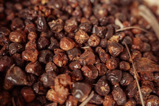 image of herbs and spices