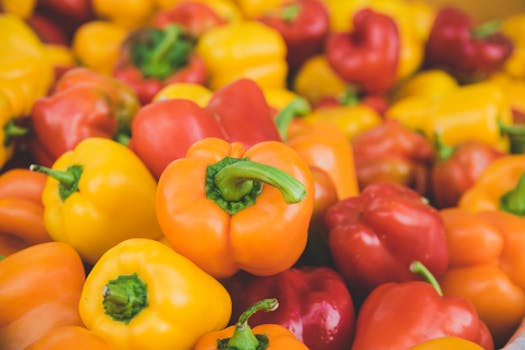 vibrant fresh vegetables